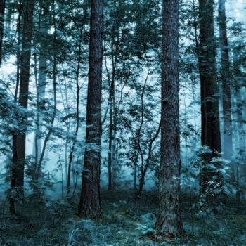 Money Flip - Way Back Home