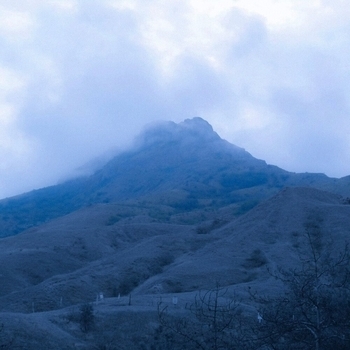 Альбом Slowed, Vol. I Money Flip