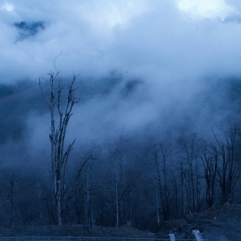 Money Flip - No Emotion