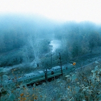 Money Flip - Silent Echoes