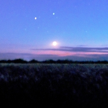 Money Flip - When I Was A Kid