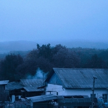 Money Flip - tears in rain