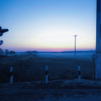 Money Flip - forgive me