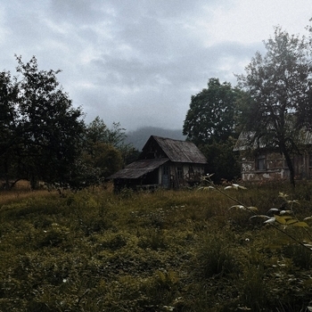 Money Flip - Where Am I