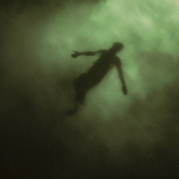 Money Flip - Disorientation