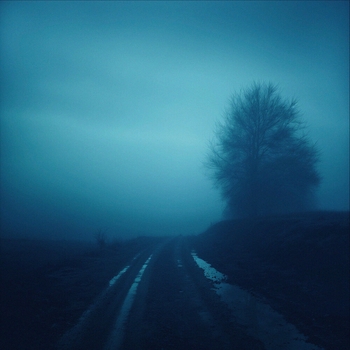 Money Flip - Sorrowful