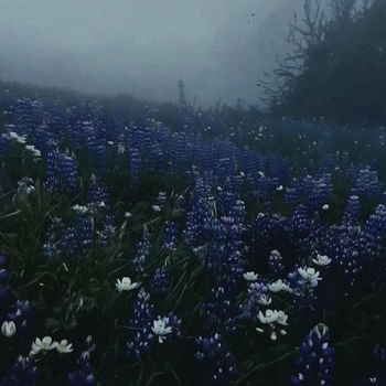 Money Flip - Feeling Lost