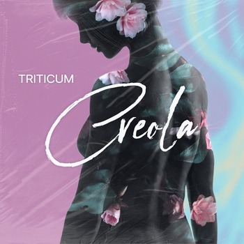 Triticum - Creola