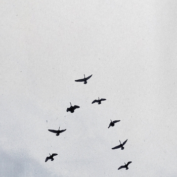 Nelly Furtado - MARRIAGE