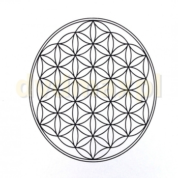 Альбом Czyściec АК-47