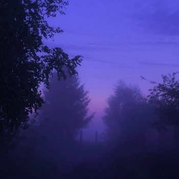 Antent - Don't Wanna Fall