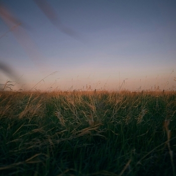 Antent - take me home