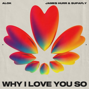 Alok - Why I Love You So