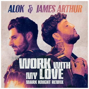 Alok - Work With My Love (Mark Knight Remix)