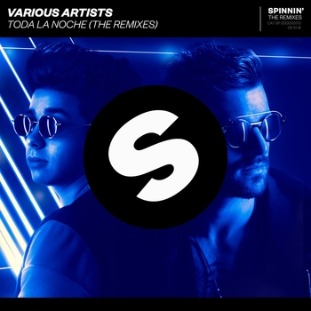 Alok - Toda La Noche (K.I.D & Mr. Pig Remix)