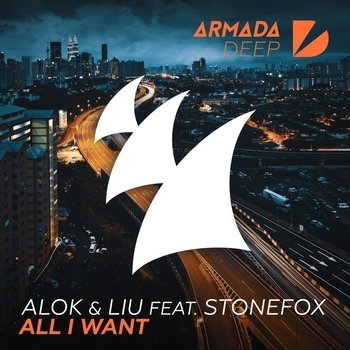 Alok - All I Want