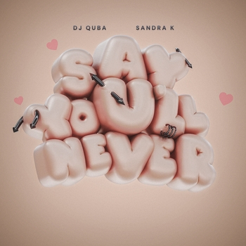 Dj Quba - Say You'll Never