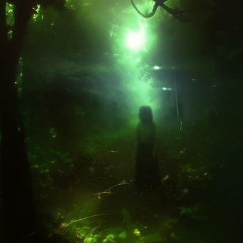 Альбом snowball Sinalyx