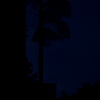 Sinalyx - smallow but nothing's forgiven