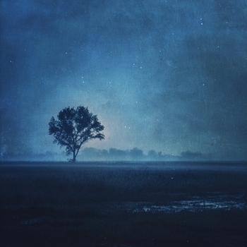 Sinalyx - it takes time