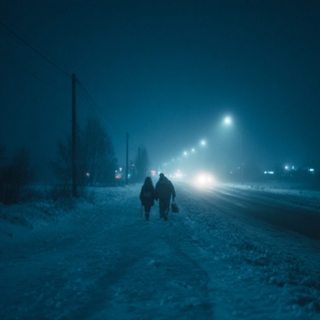 Sinalyx - winter dream