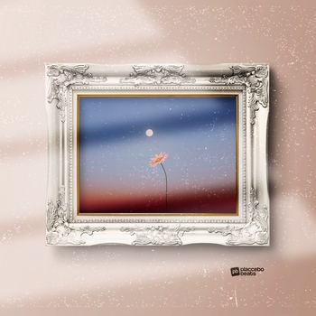 Placcebo Beats - Sympathy