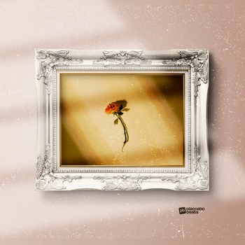 Placcebo Beats - Rosiness