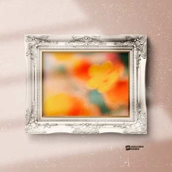 Placcebo Beats - Rein