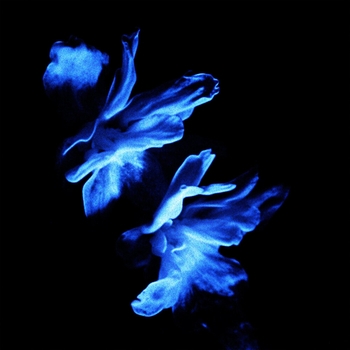 Skyfall beats, Eyfect - Sever (2024)