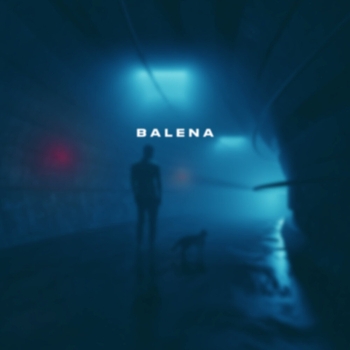 Skyfall Beats - Balena
