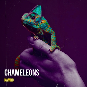 Kamro - Chameleons