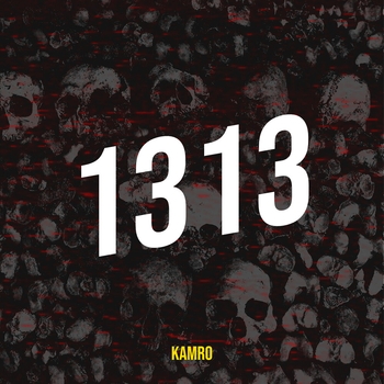Kamro - 1313