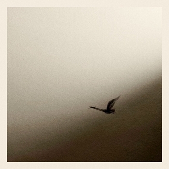 Rauf & Faik - Так много слов (2024)