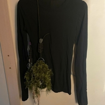 паранойя, tewiq, королевский XVII - подиум