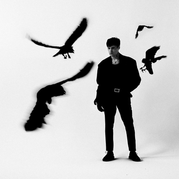 Мукка - Вороны