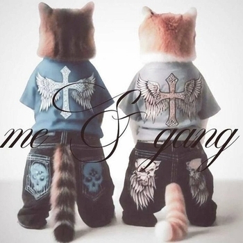 Альбом all i wanted (hoodtrap) 1NZZiDENT