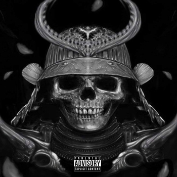 Альбом Desolator 1NZZiDENT