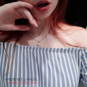 Oneheart and Malek - We Need to Fly Away