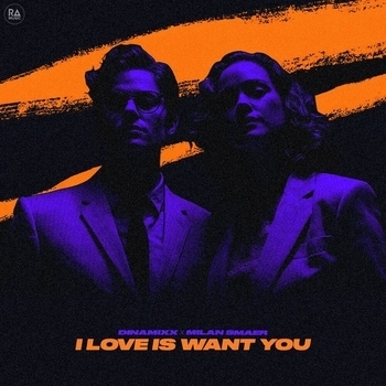 Dinamixx - I Love Is Want You