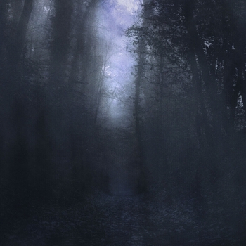 F0lk - Listopad (Интро) (Listopad 2020)