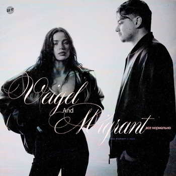 Veigel - Все нормально