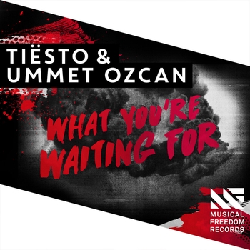 Tiesto - What You're Waiting For