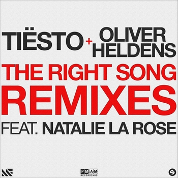 Tiesto - The Right Song (Basement Jaxx Zone Dub)