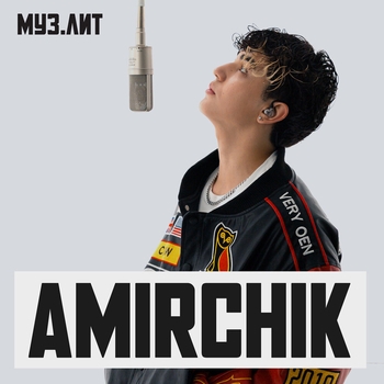 Amirchik - Ну зачем (МУЗ.ЛИТ)