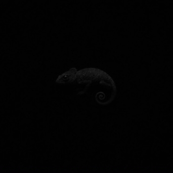 Danny Farro - Mtv kids