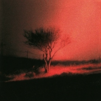 Don Toliver, Joji - Fragments