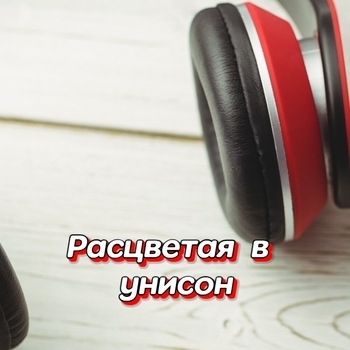 Гравитация - Зажигая звёзды