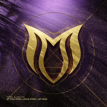 DJ Feel - If You Feel Love (FEEL Up Mix)