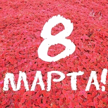 Сергей Рогожин - Мне тебя не хватает (2014)