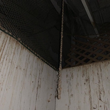 Rizza - там где есть сомнения